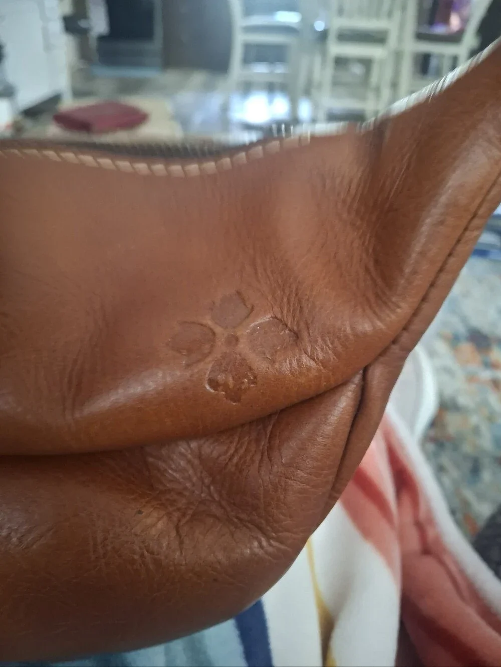 Patricia Nash Belly Bag